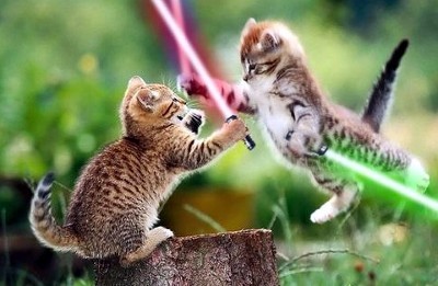 kittylightsabers.jpg