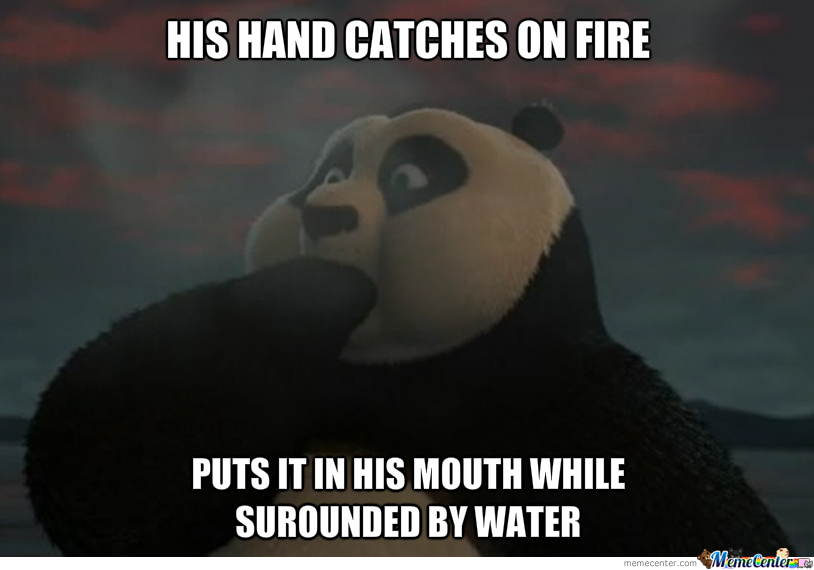 kung-fu-panda-2-logic_o_2368881.jpg