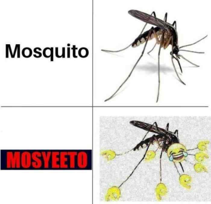 l-21548-mosquito-mosyeeto.jpg