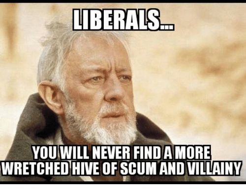 liberals-you-will-never-find-amore-wretc