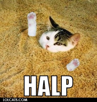 lolcatsdotcom3n221o4jtlfhnl2d.jpg