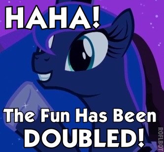 Image result for mlp the fun has been doubled