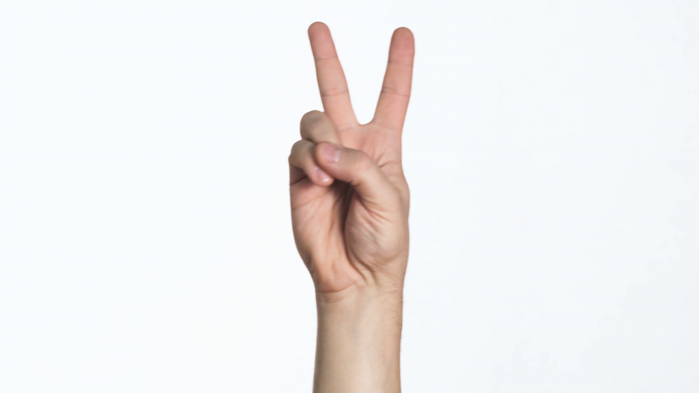 Image result for peace sign hand