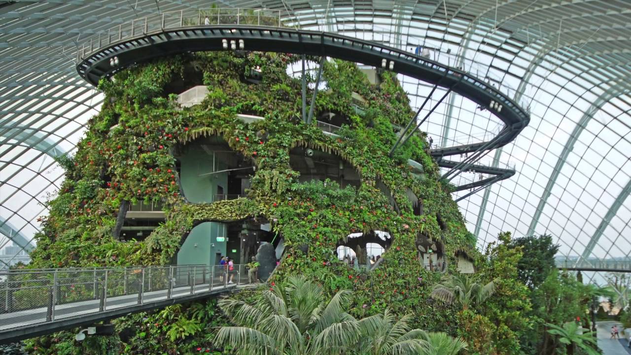 Image result for cloud forest gardens