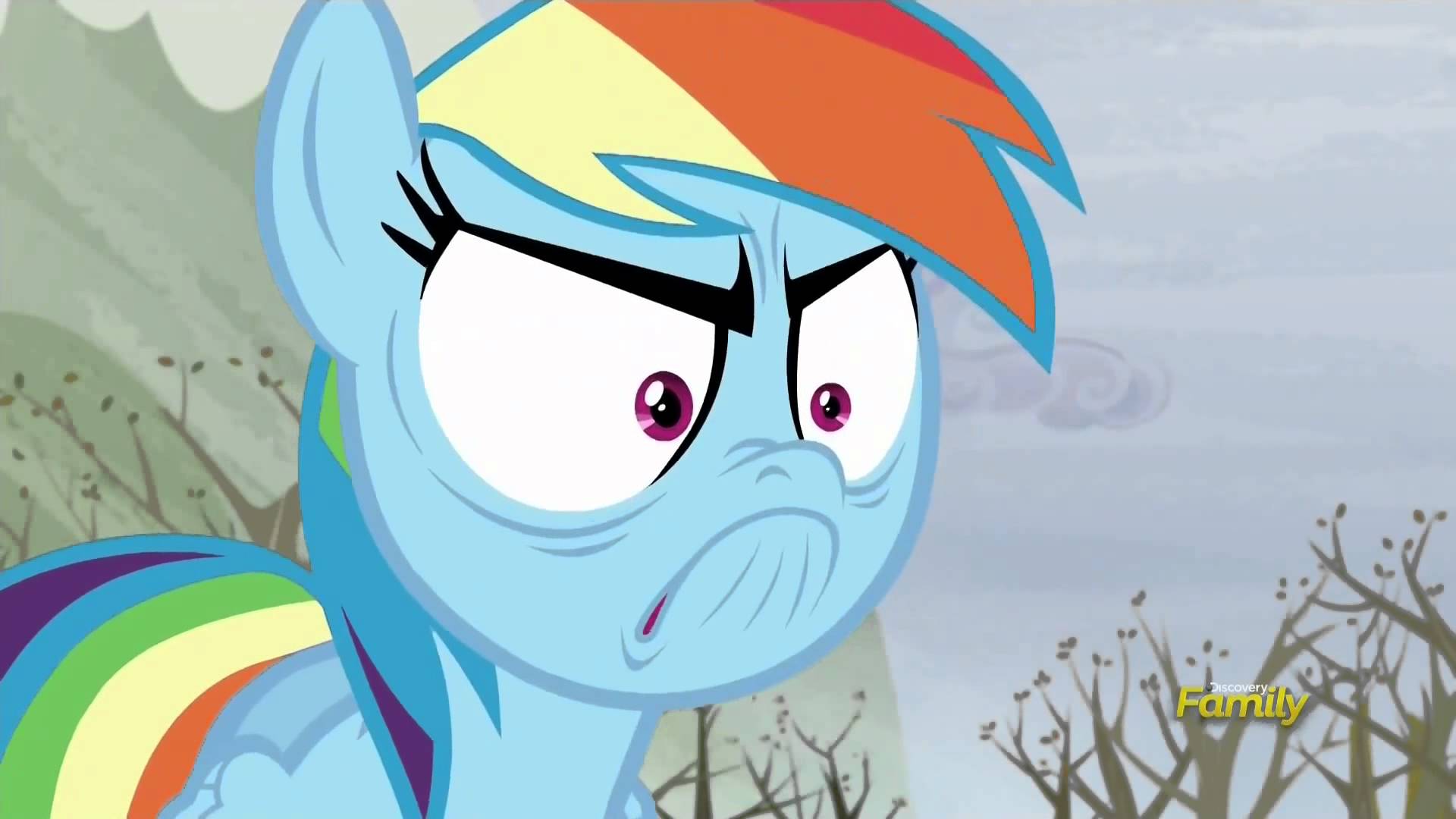 Image result for do i look angry rainbow dash