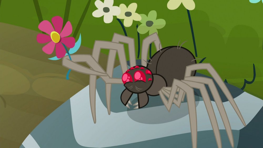 Fluttershy - These spiders are actually very sweet and help keep other,  more dangerous insects away! - YouTube