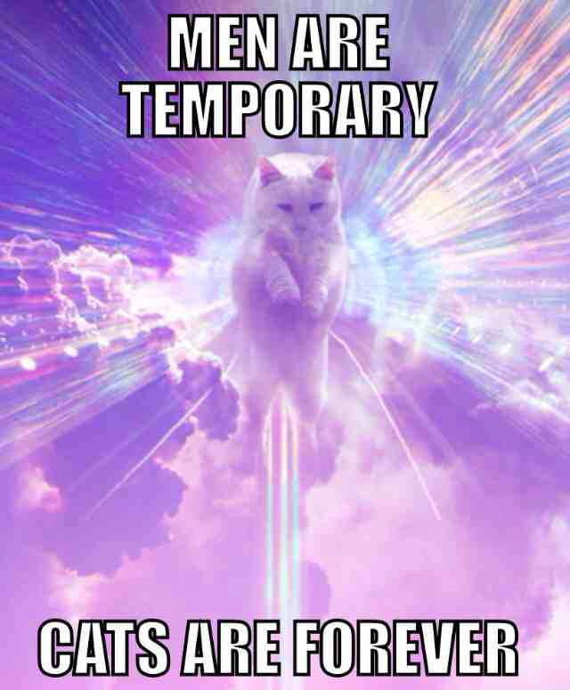 men-are-temporary-cats-are-forever.jpg