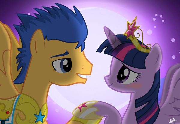 Image result for mlp twilight and flash