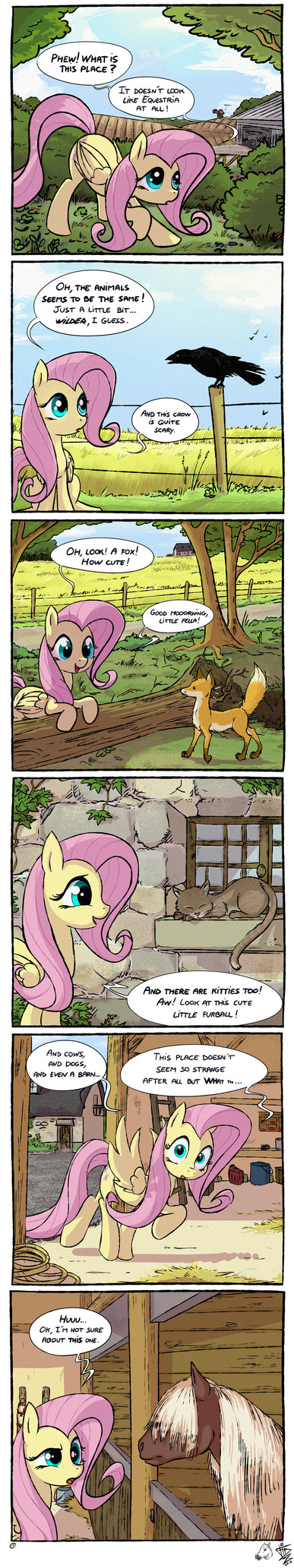 MLP Meets Real World 01: Similarities