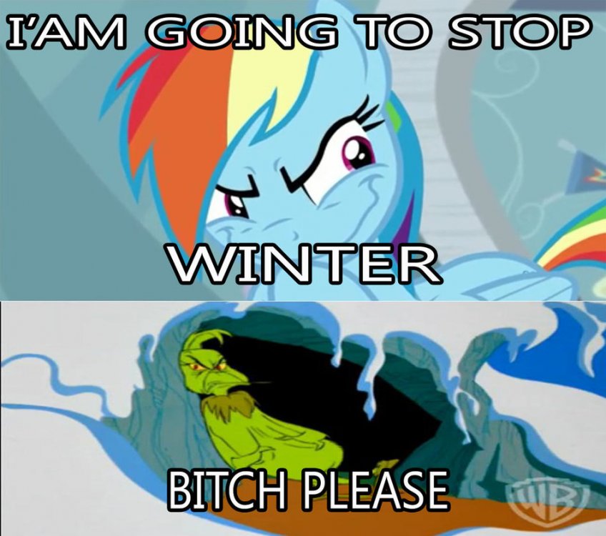 Image result for MLP meme