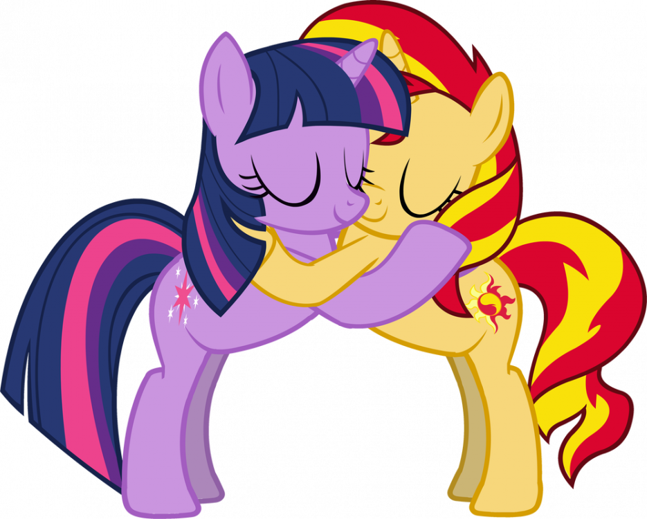 MLP Shipping - Twilight Sparkle and Sunset Shimmer by RamseyBrony17