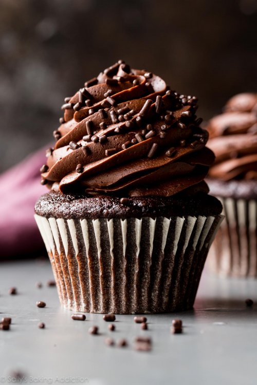moist-chocolate-cupcakes-5.jpg