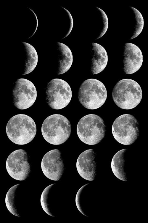 moon-phases.jpg