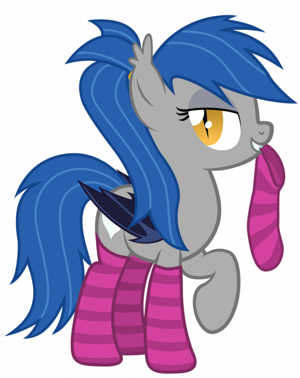 Image result for ponies in socks