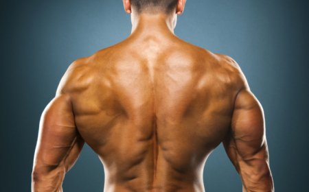 muscular-back-450.jpg