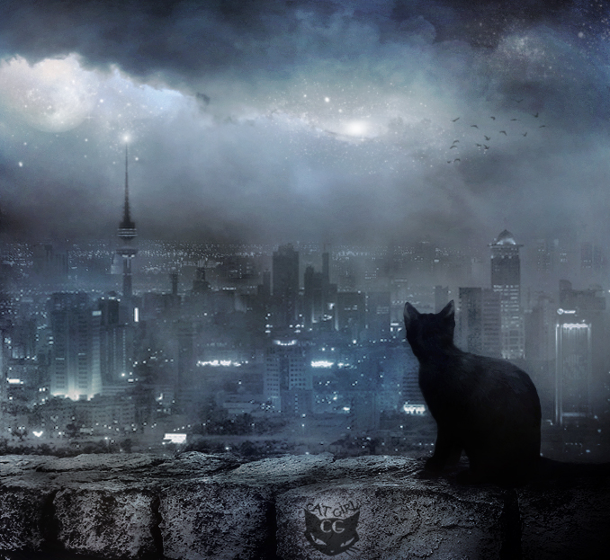 my_lovely_city_by_cat_girl_q8.jpg