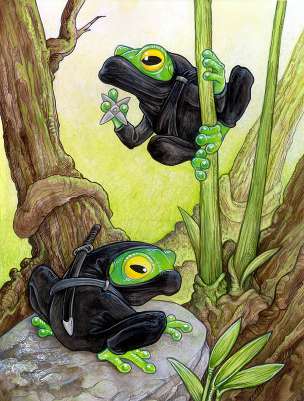 Ninja Frogs by ursulav