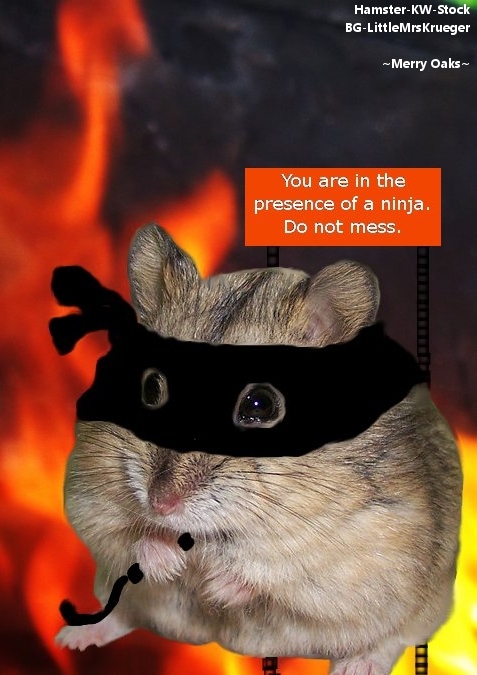 Image result for NInja hamster