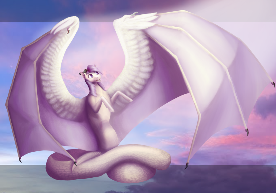 Nira by Asimiro