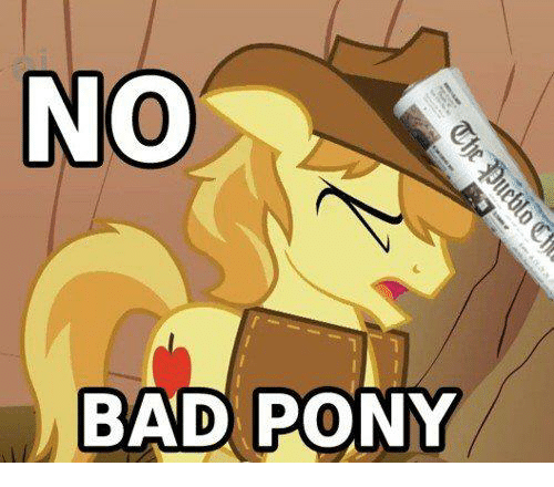 Image result for pony memes
