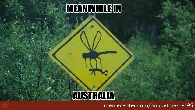nope-nope-nope-not-visiting-australia_o_