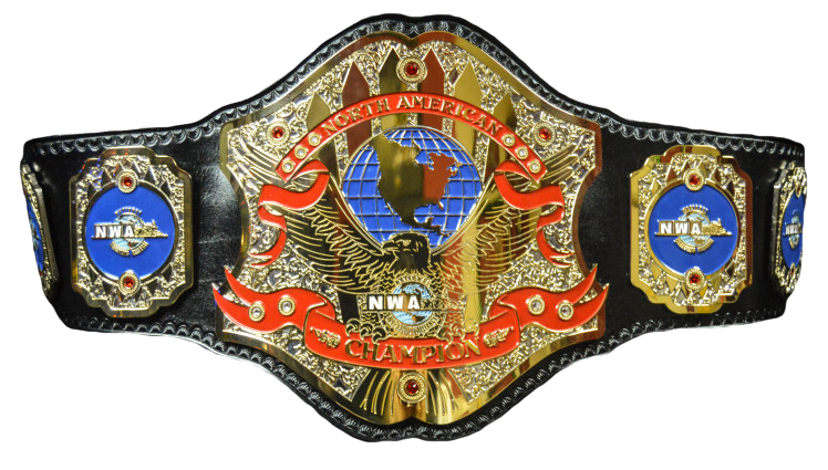 Image result for nwa north american championship