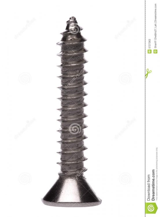 one-metal-flathead-screw-5727363.jpg