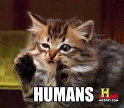 piccit_humans_230802236.jpg