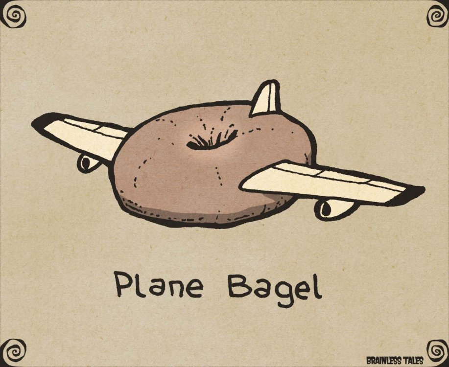 Image result for plane bagel