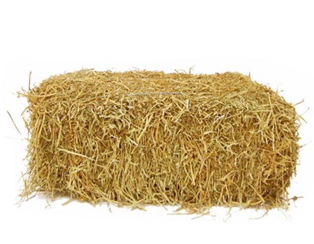 png-hay-that-is-a-pile-of-hay-617.jpg