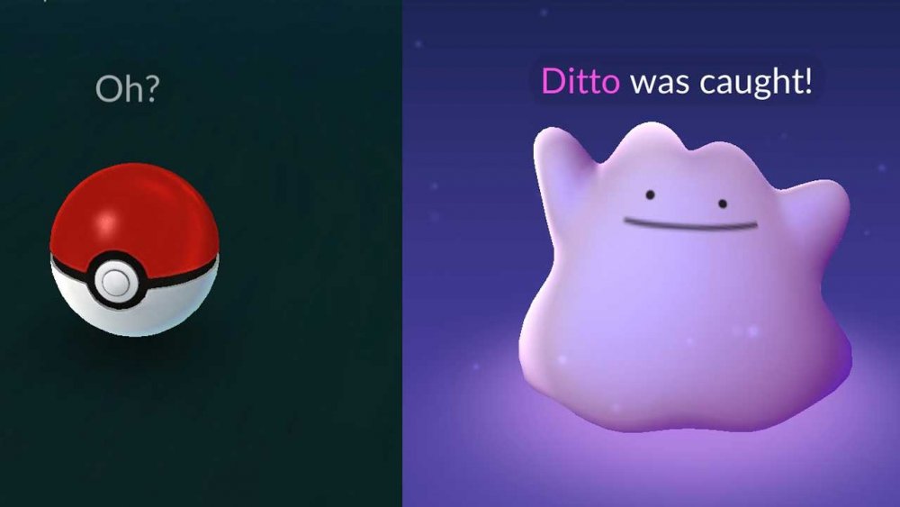 Image result for ditto pokemon go oh?