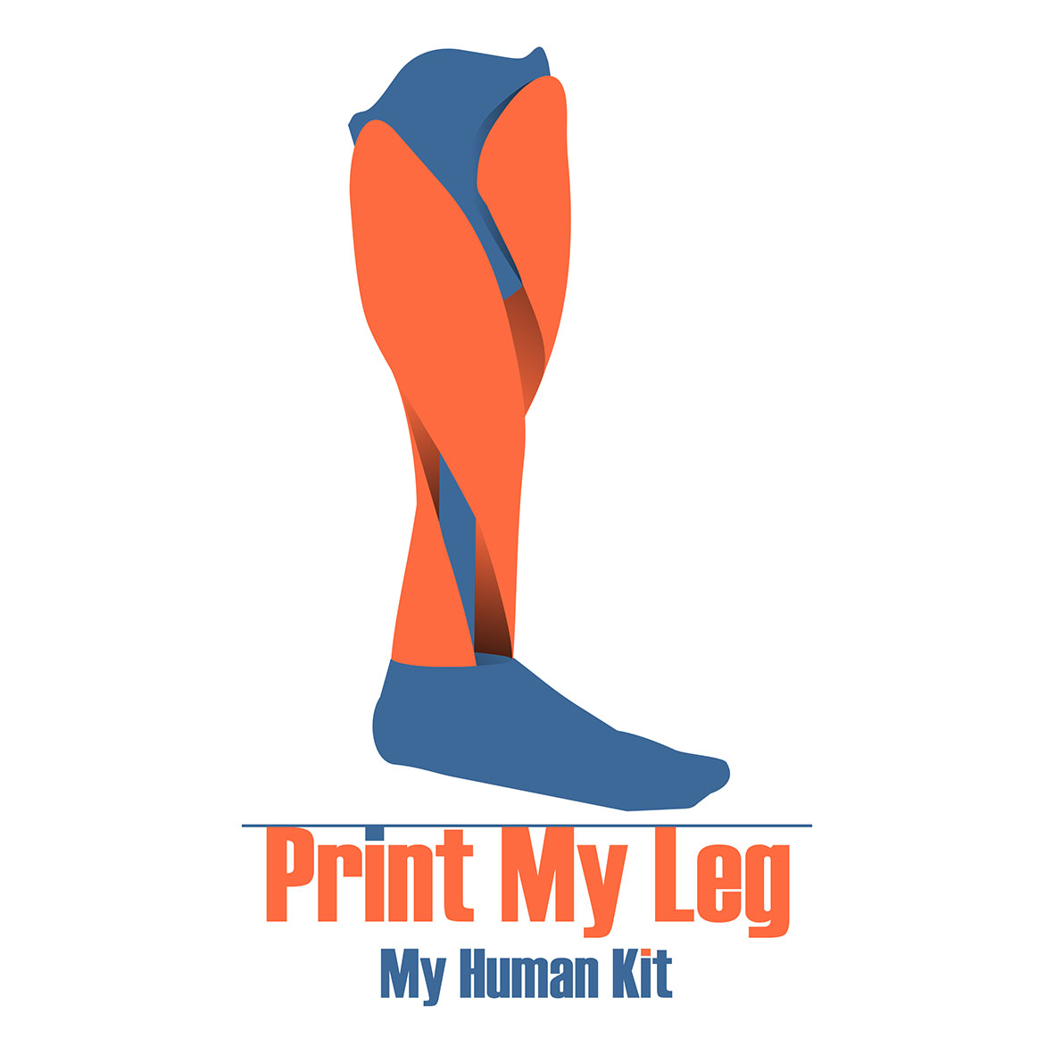 printmyleg.jpg