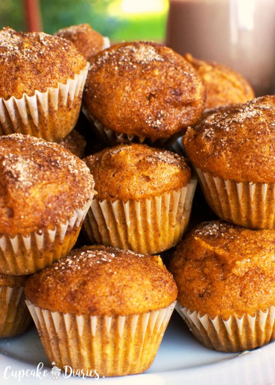 pumpkin-mini-muffins-4.jpg