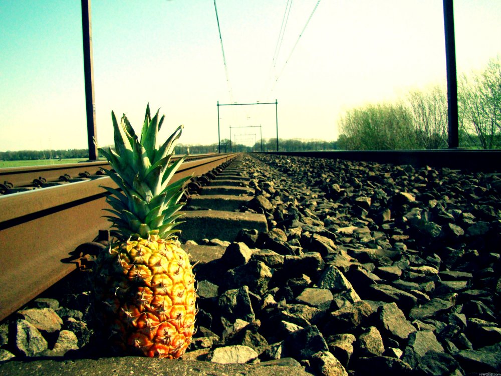 gravel, pineapple, rails