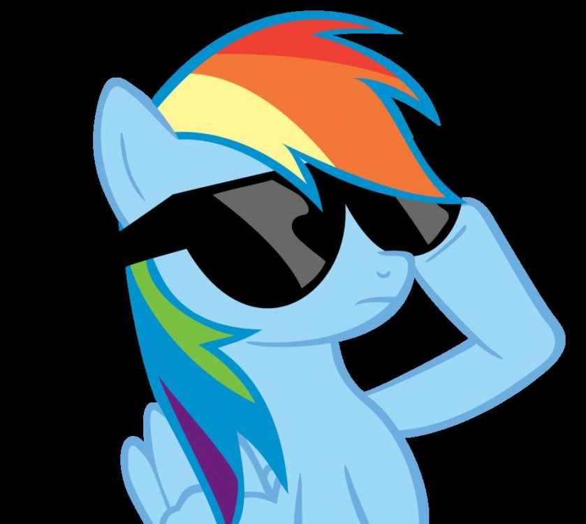 Image result for rainbow dash wearing sunglasses