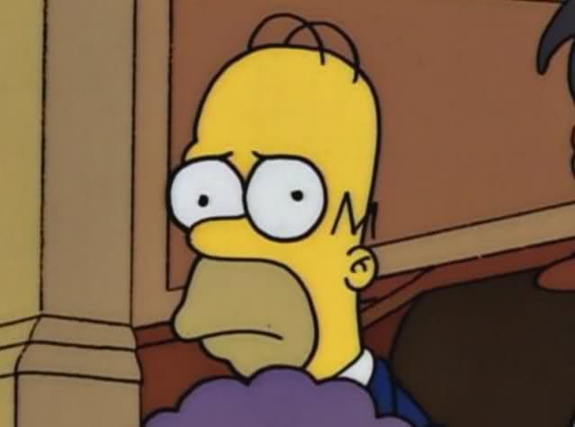 Image result for Homer stare