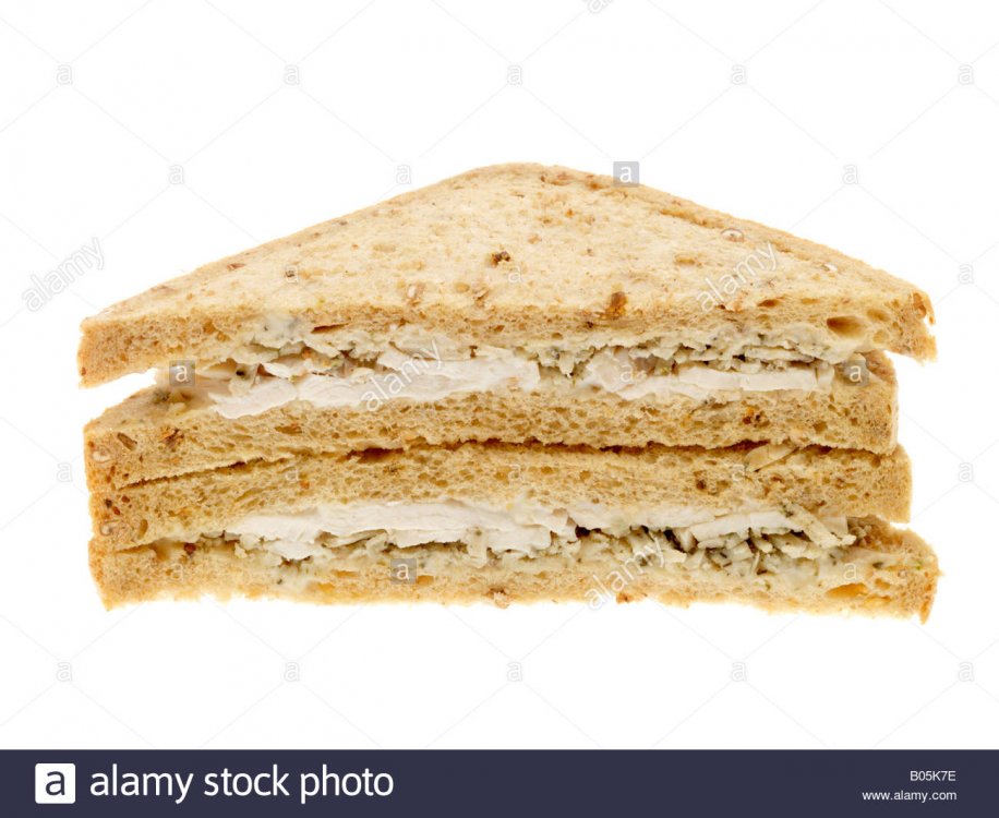 chicken and stuffing sandwich.exe