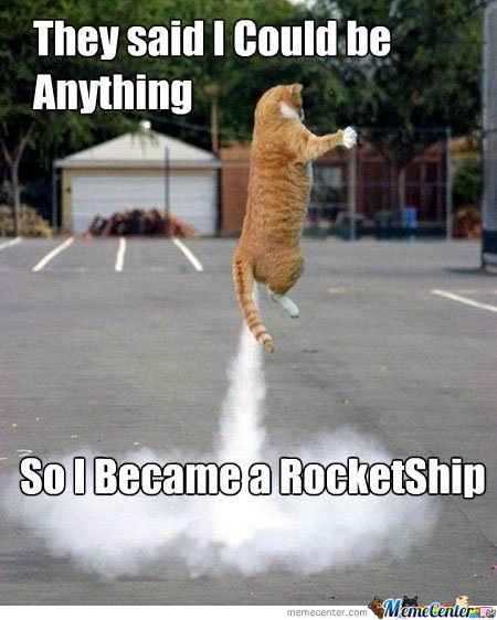 rocket-cat_o_1173128.jpg