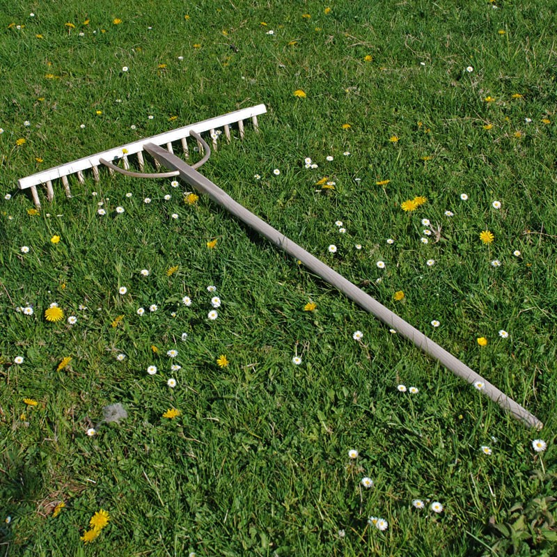 rud01-hay-rake-800-2_2.jpg