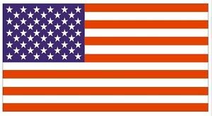 Image result for us flag