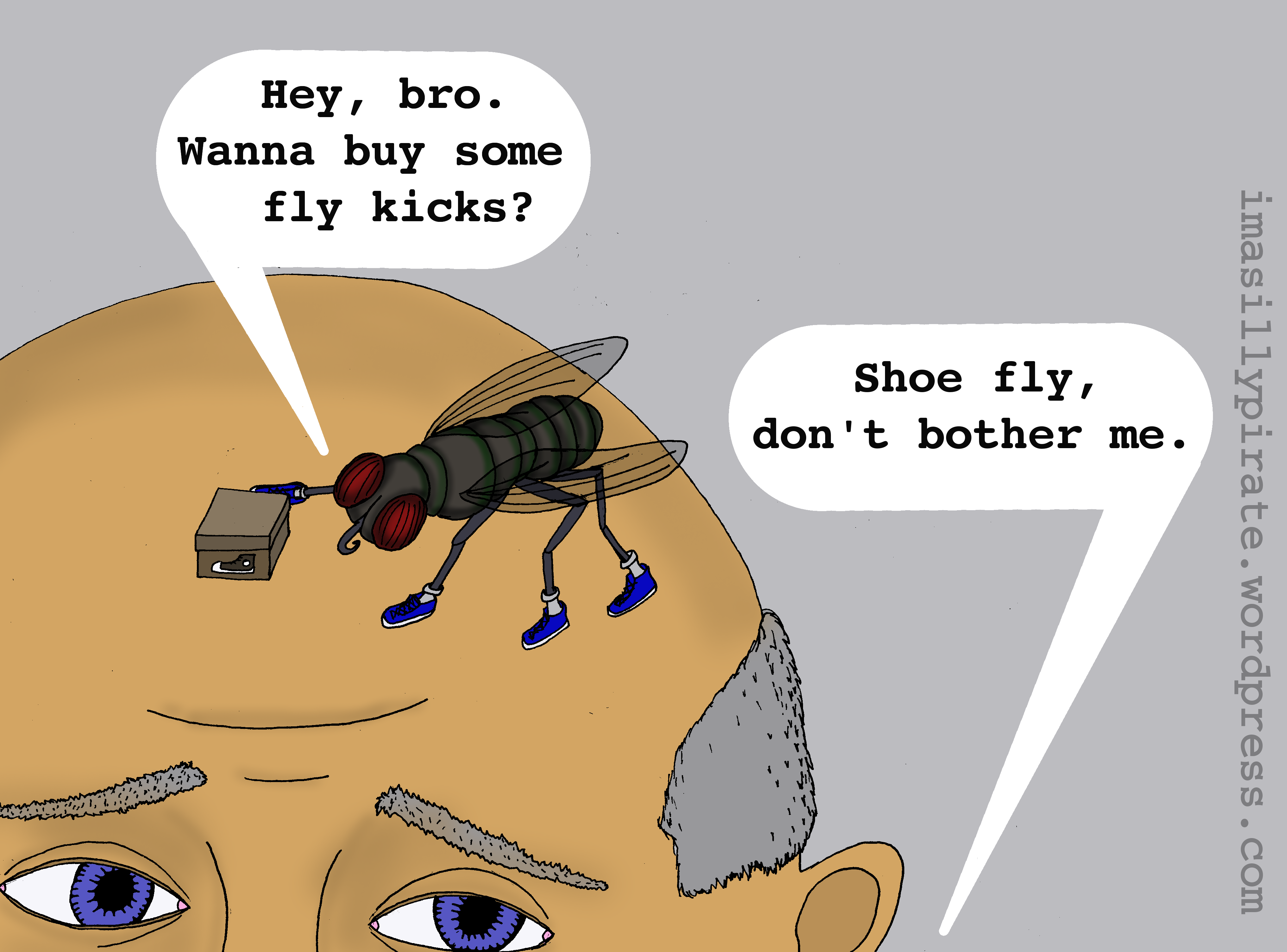 shoefly.png