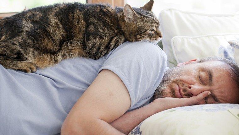 show-cat-love-sleep.jpg