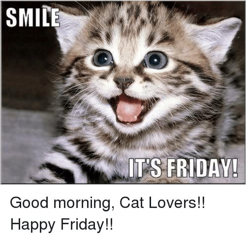 smile-its-friday-good-morning-cat-lovers