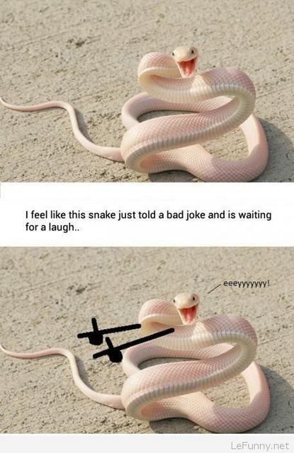 snake_smile.jpg