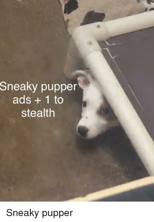 sneaky-pupper-ads-1-to-stealth-sneaky-pu