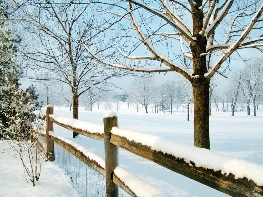 snow-winter-trees-fences-Favim.com-48525