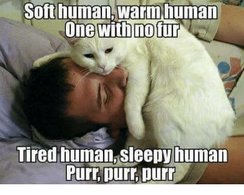 soft-human-warm-human-one-with-no-fur-ti
