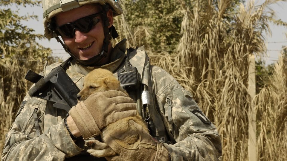 soldier-with-puppy-960x540.jpg