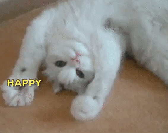 source.gif