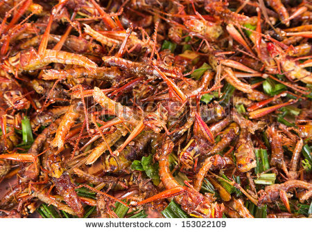 stock-photo-fried-grasshoppers-153022109